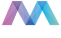 MEGA VIP TRANSPORT - PARIS